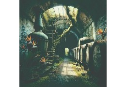 Interview avec Thijs Klaverstijn